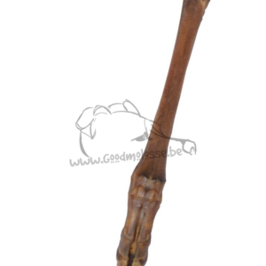 Patte inférieure de cerf