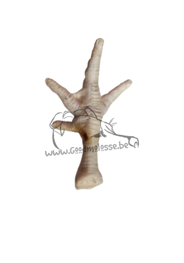 Patte de poule blanche xl 200gr