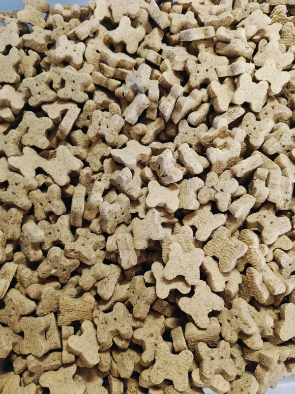 Biscuits sans céréales 200gr