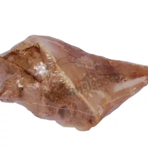 Sabot de bœuf avec pâté