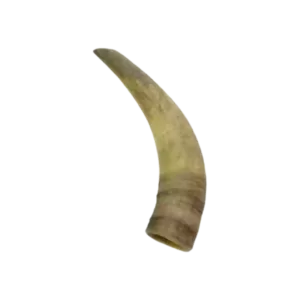 Corne de vache M