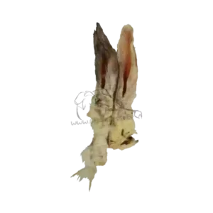Oreilles de lapin avec poils