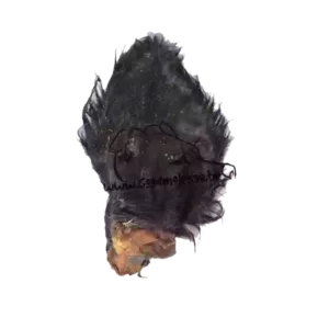 Oreilles de bœuf avec poils